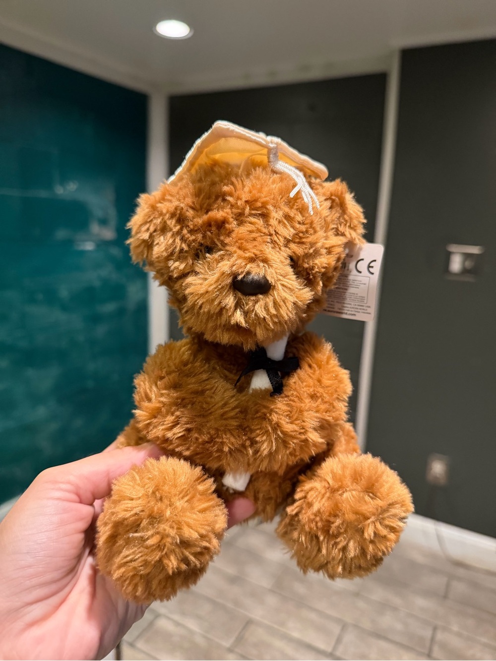 BNWT Graduation Bear Aurora